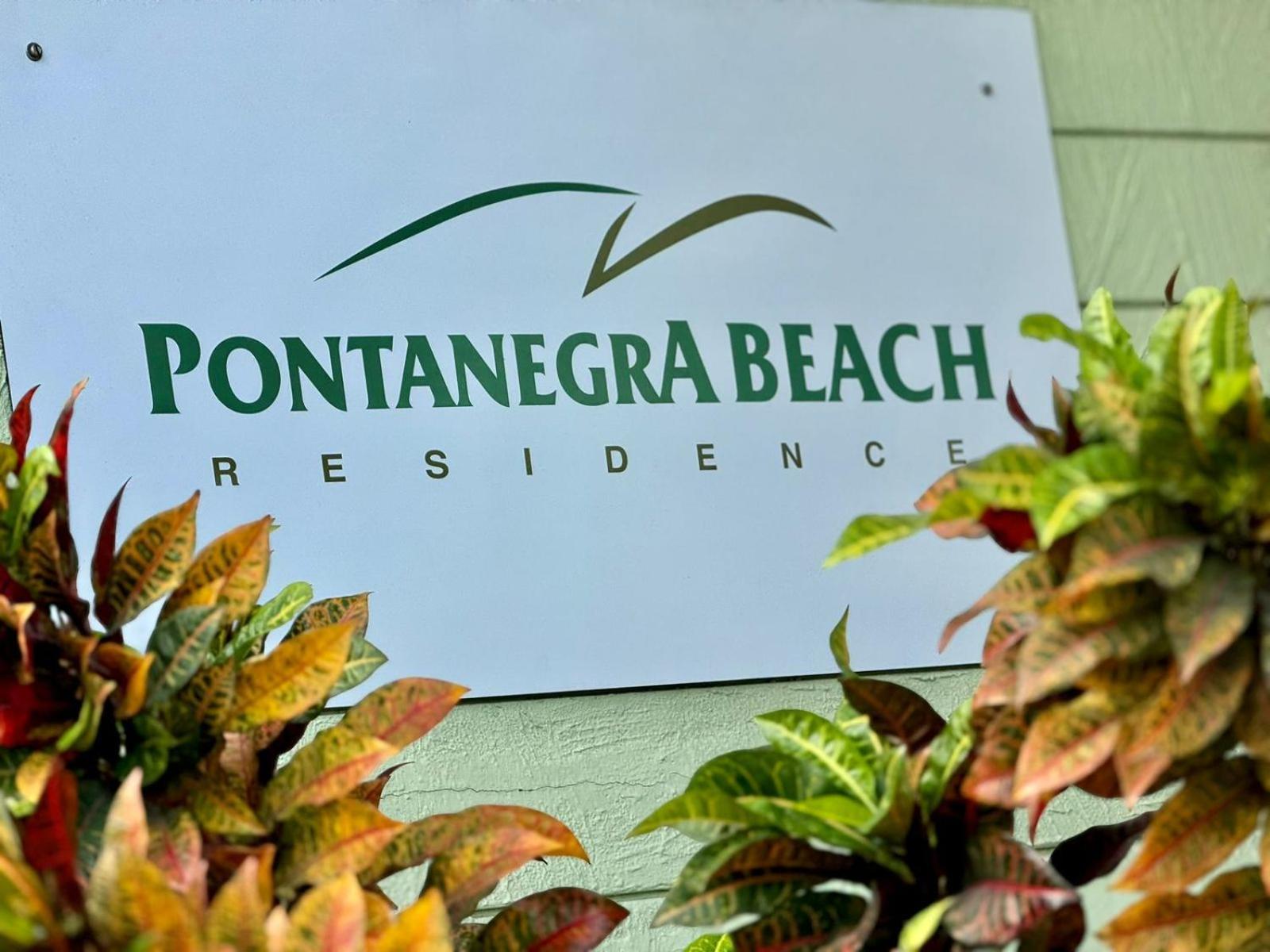 Edy Hospedagens Beira-Mar Flat 310 Com Vista Para O Morro Do Careca, Piscina E Localizacao Privilegiada Натал Екстер'єр фото